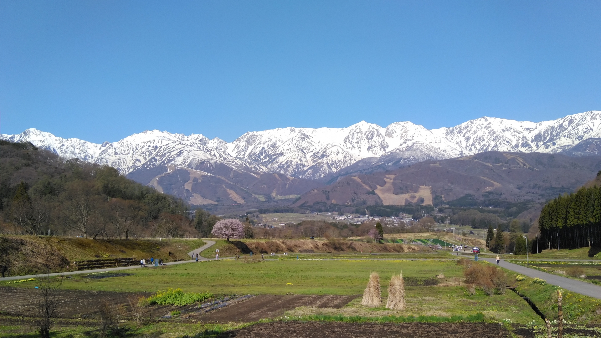 野平の棚田