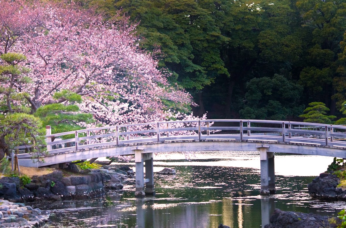 浜離宮恩賜庭園