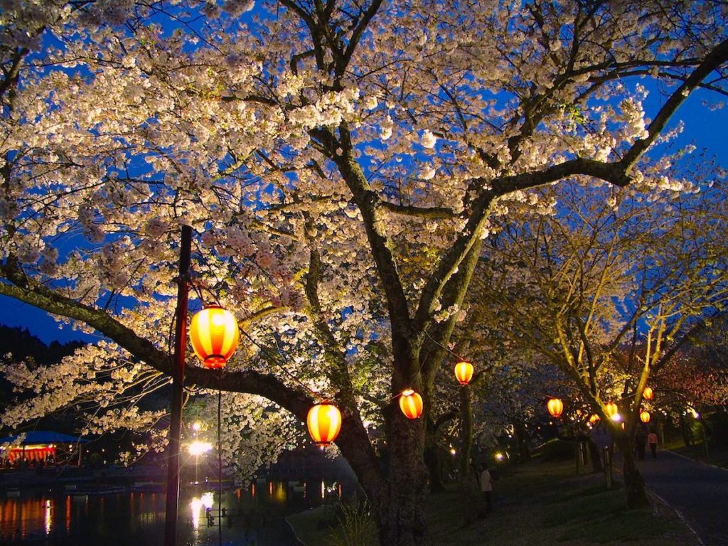 浜名湖花フェスタ