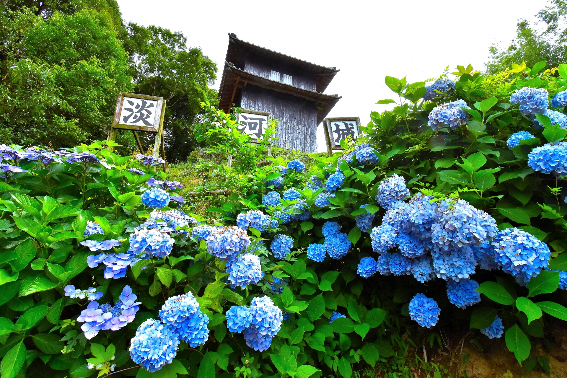 淡河城