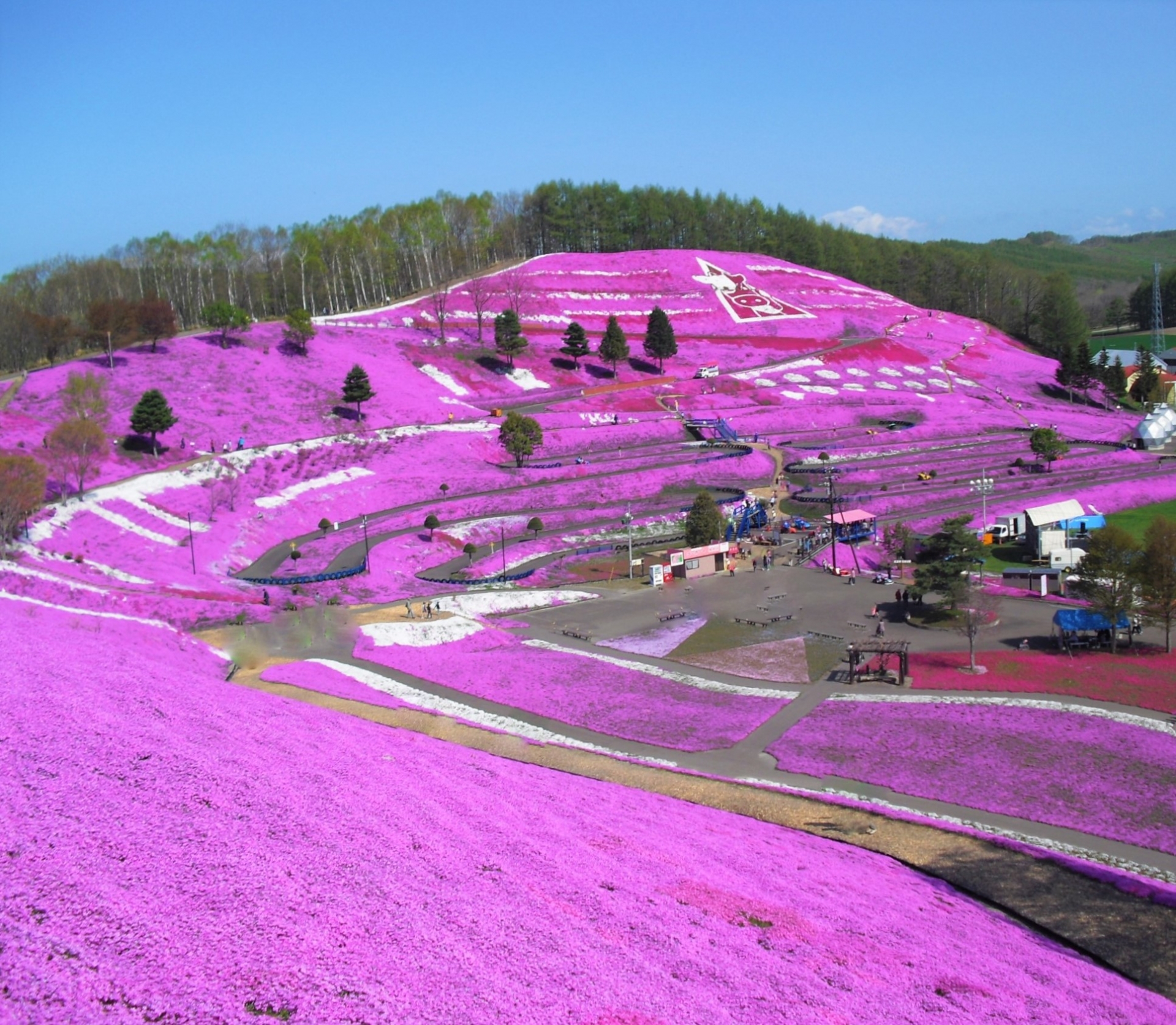 ひがしもこと芝桜まつり