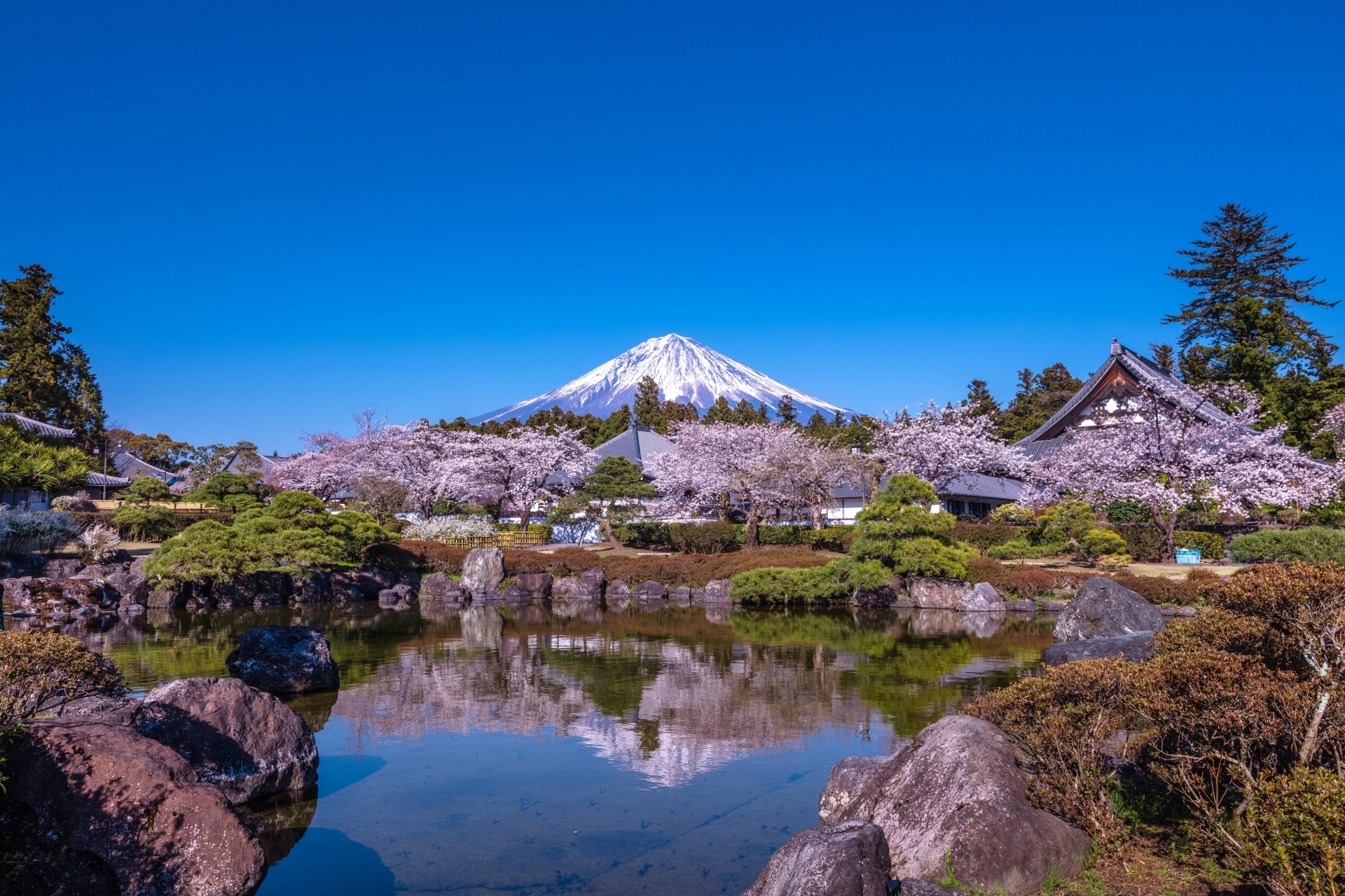 富士宮市
