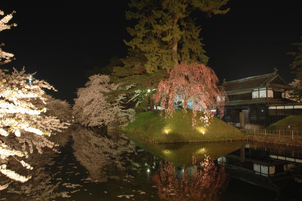 hirosakisakura