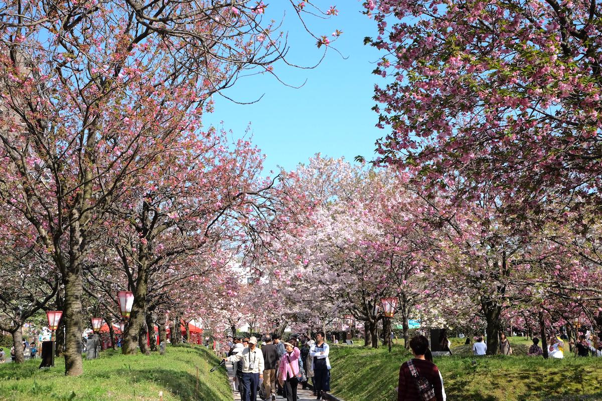 造幣局広島支局『花のまわりみち』