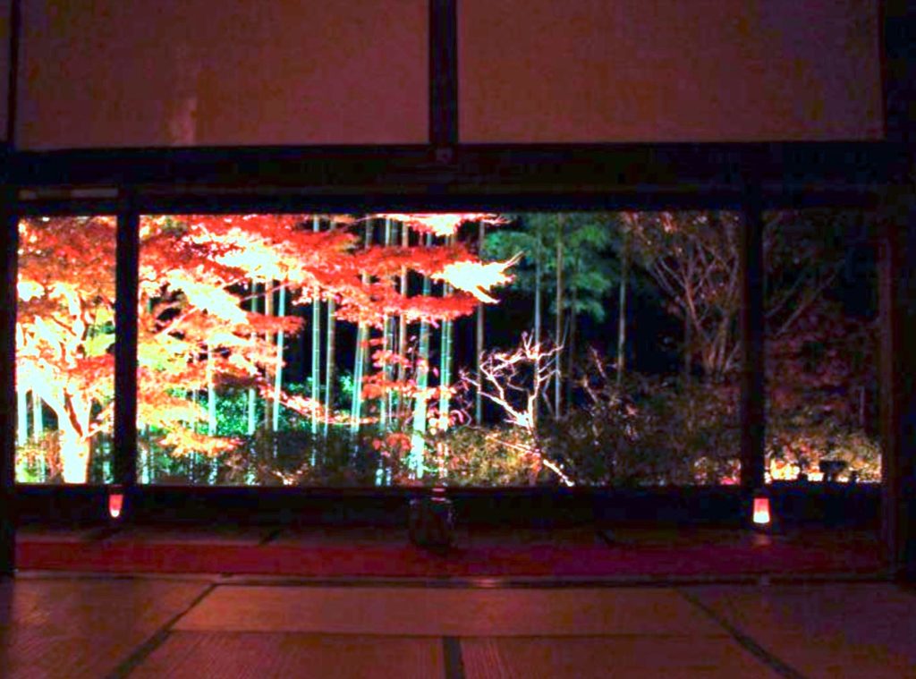 宝泉院『秋の夜灯り』