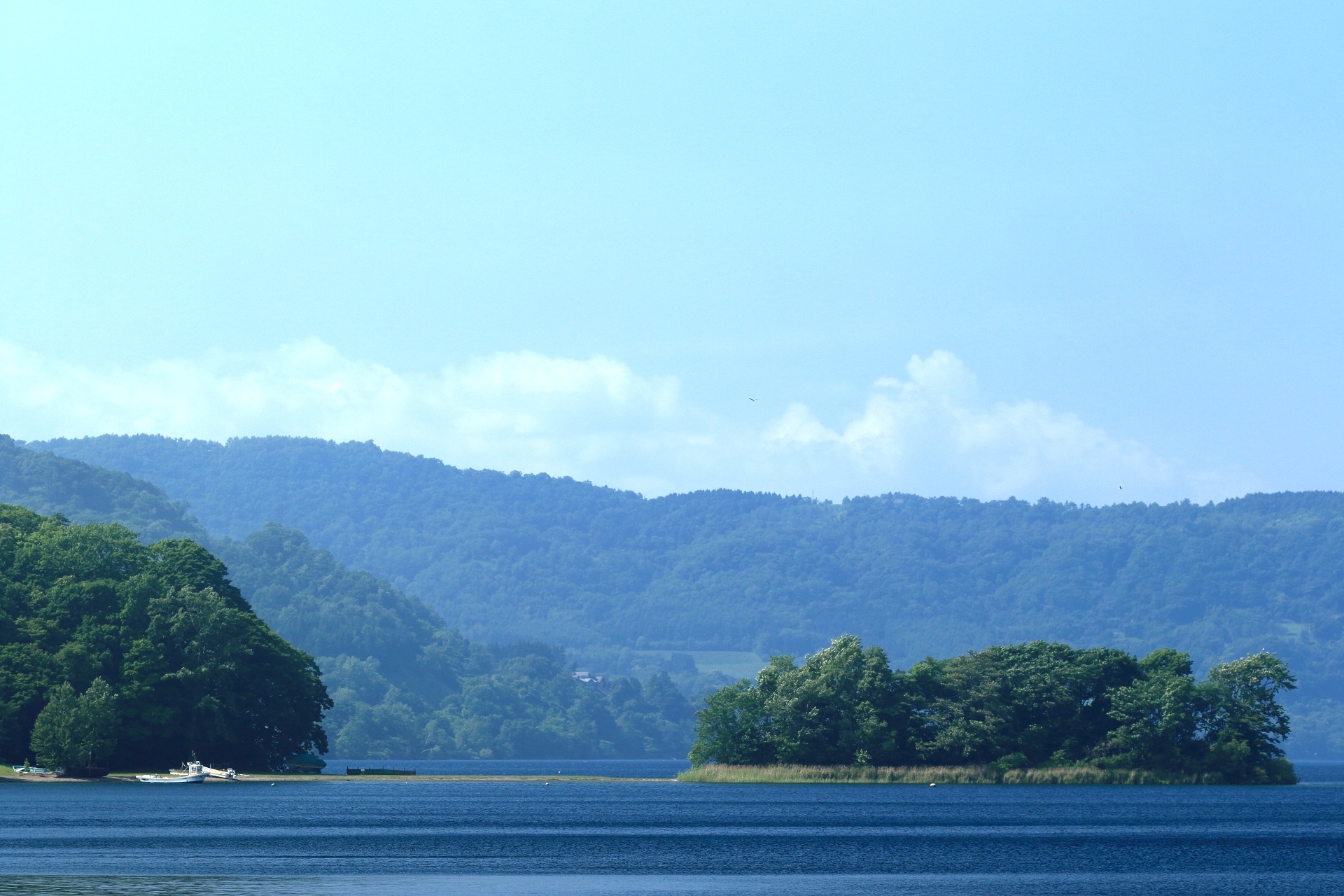 珍小島