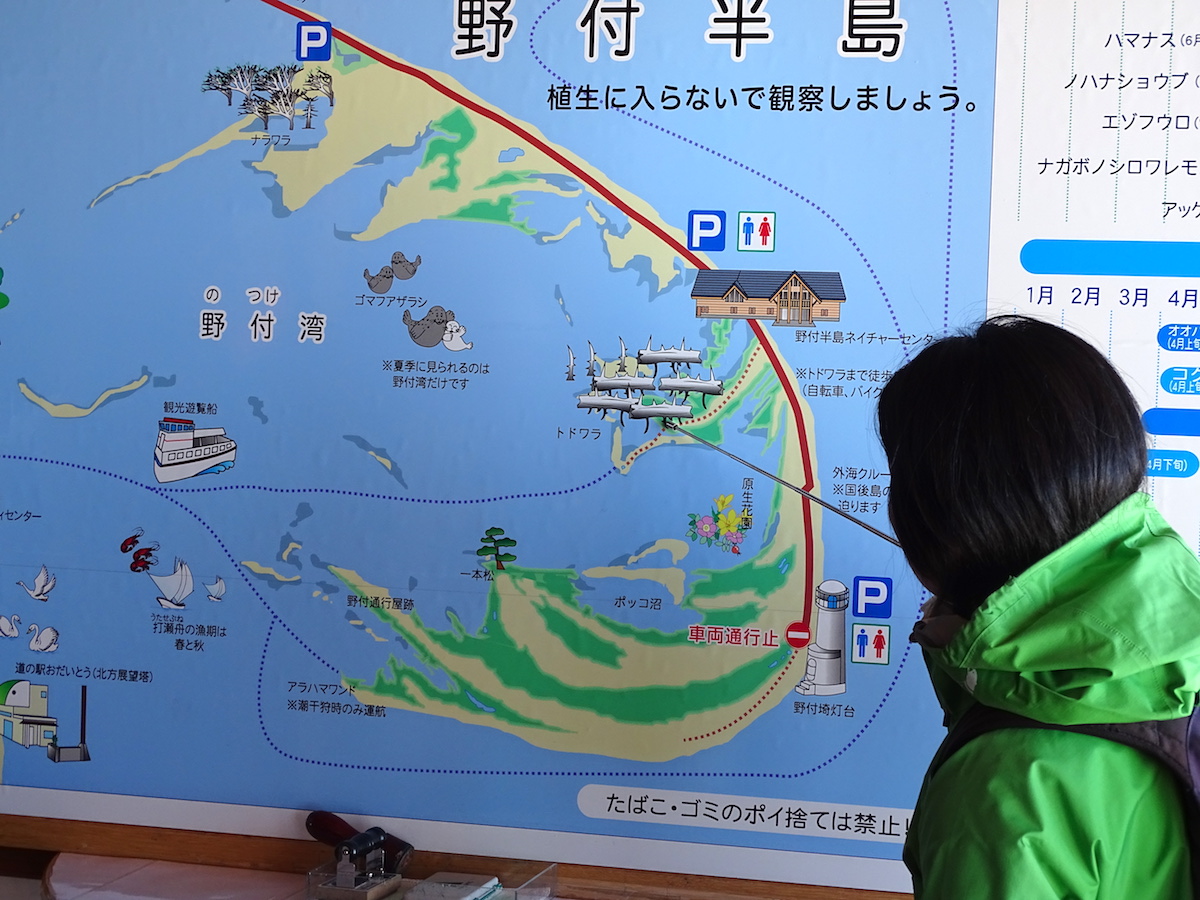 トドワラ・氷平線ウォーク