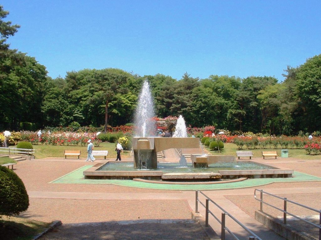 井頭公園『ローズフェスタ』
