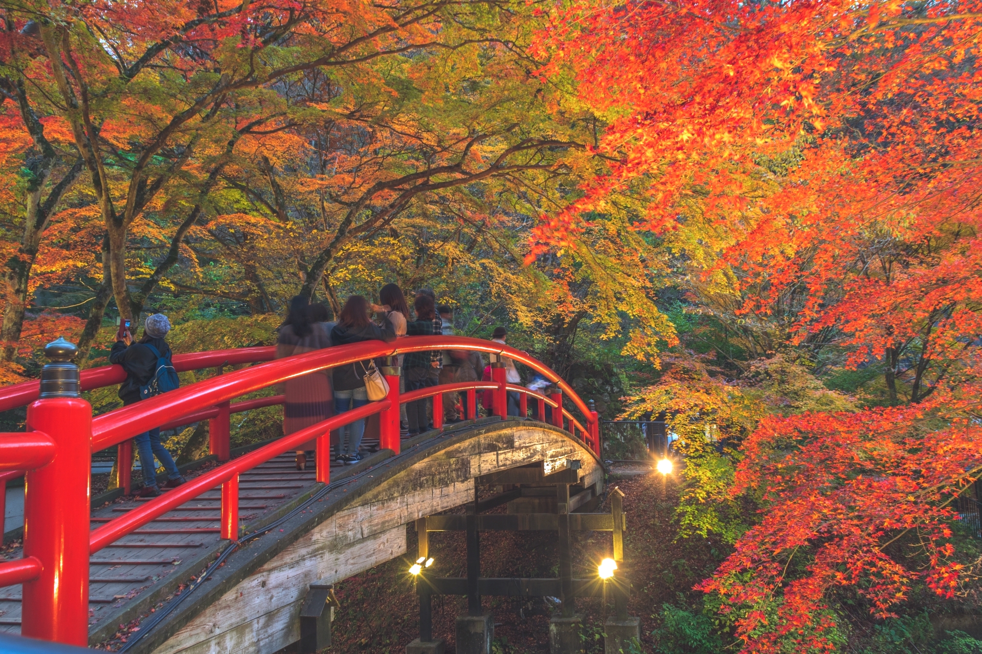 伊香保温泉『河鹿橋紅葉ライトアップ』