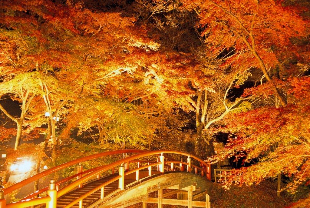伊香保温泉『紅葉ライトアップ』