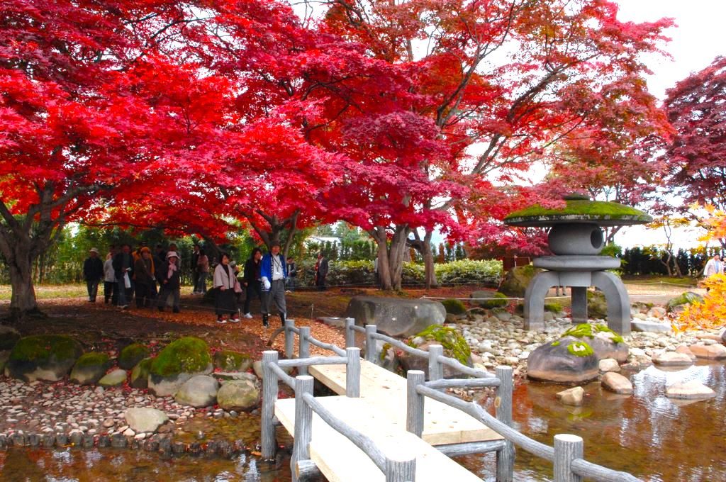 旧池田氏庭園・紅葉
