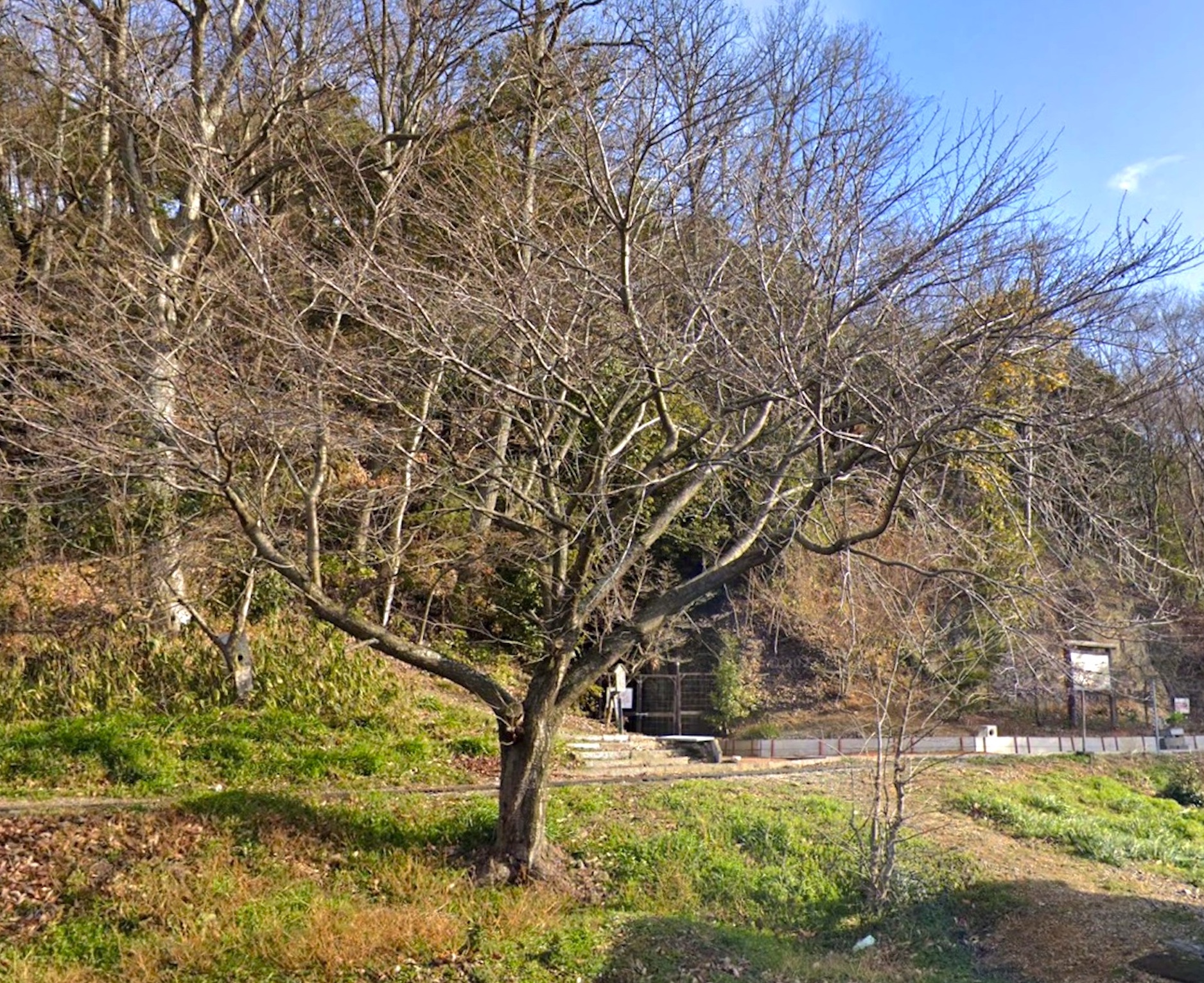 岩脇蒸気機関車避難壕