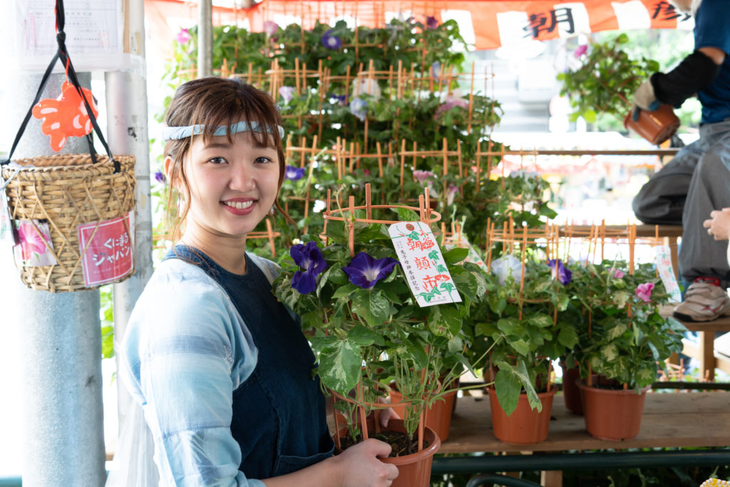 入谷朝顔まつり 朝顔市