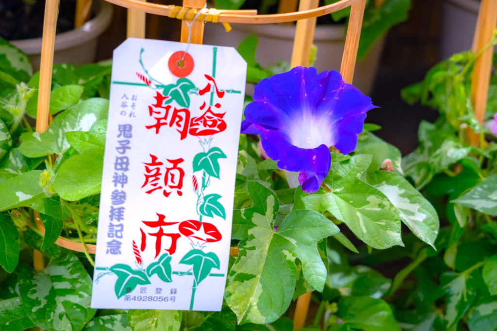 入谷朝顔まつり