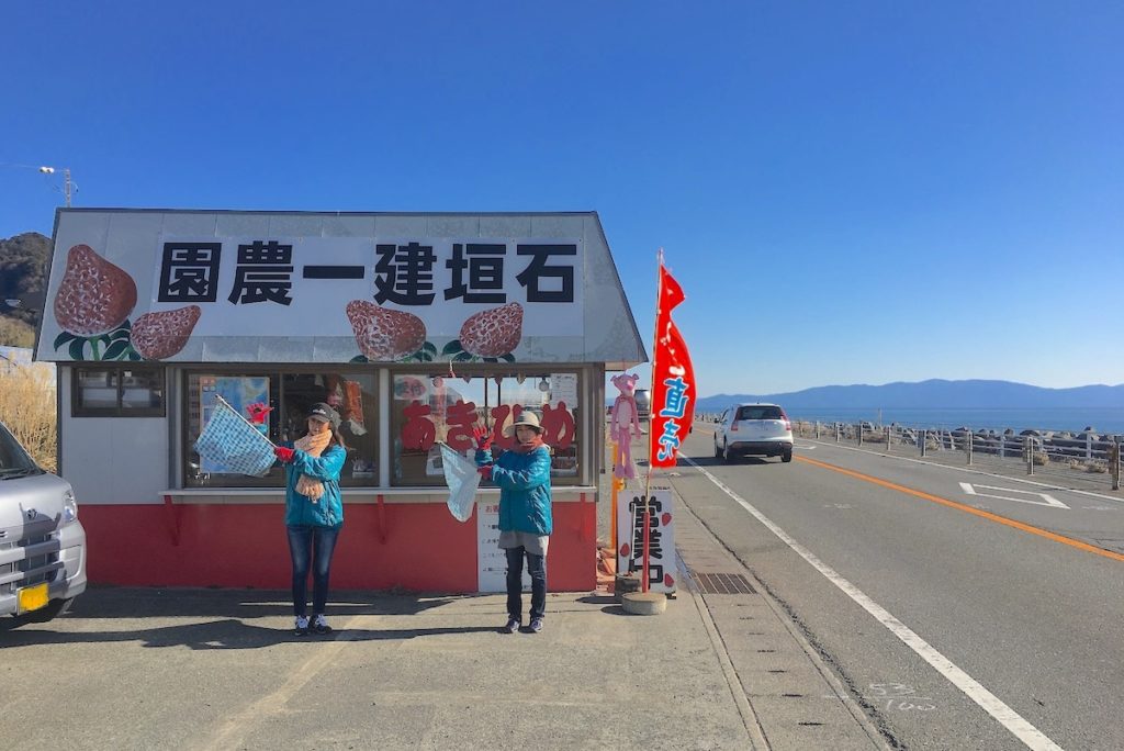 久能いちご海岸通り『石垣いちご狩り』