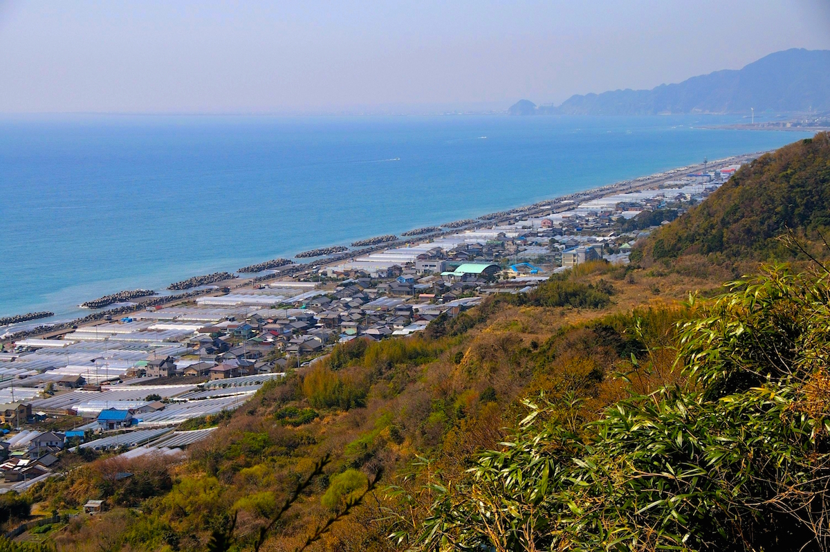 久能山石垣いちご