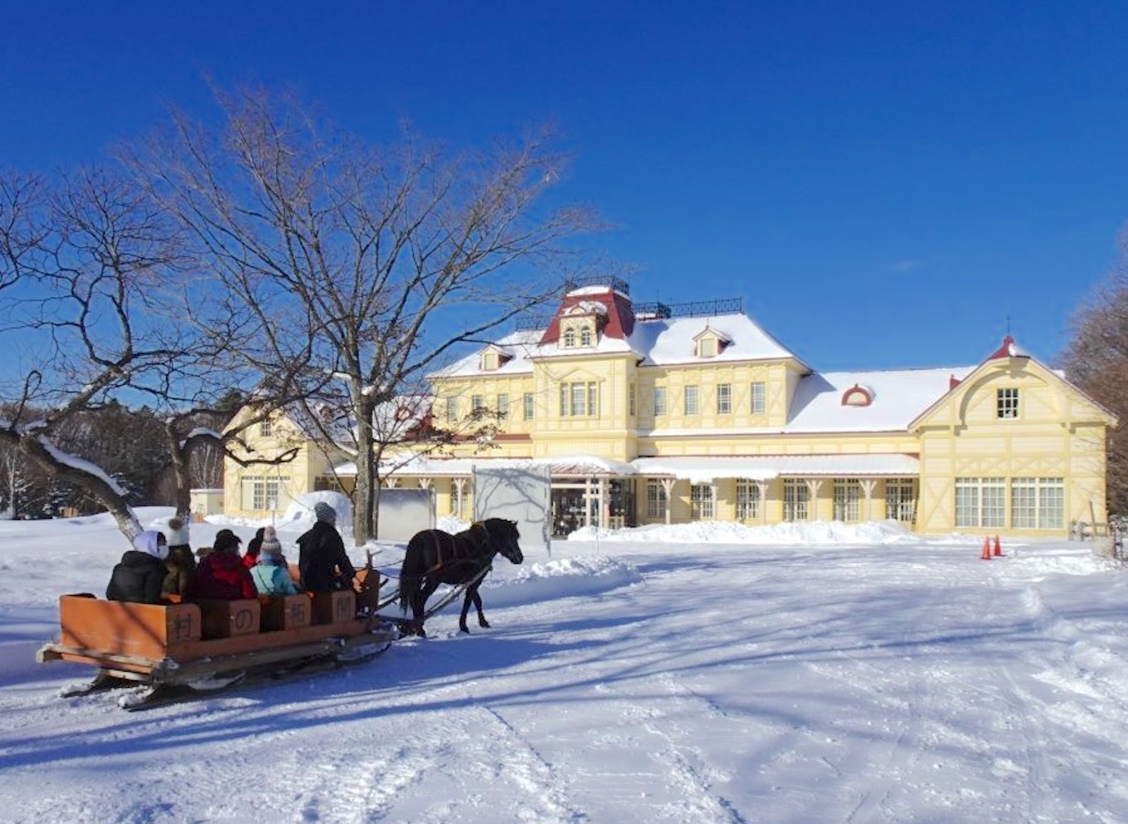 北海道開拓の村・馬そり
