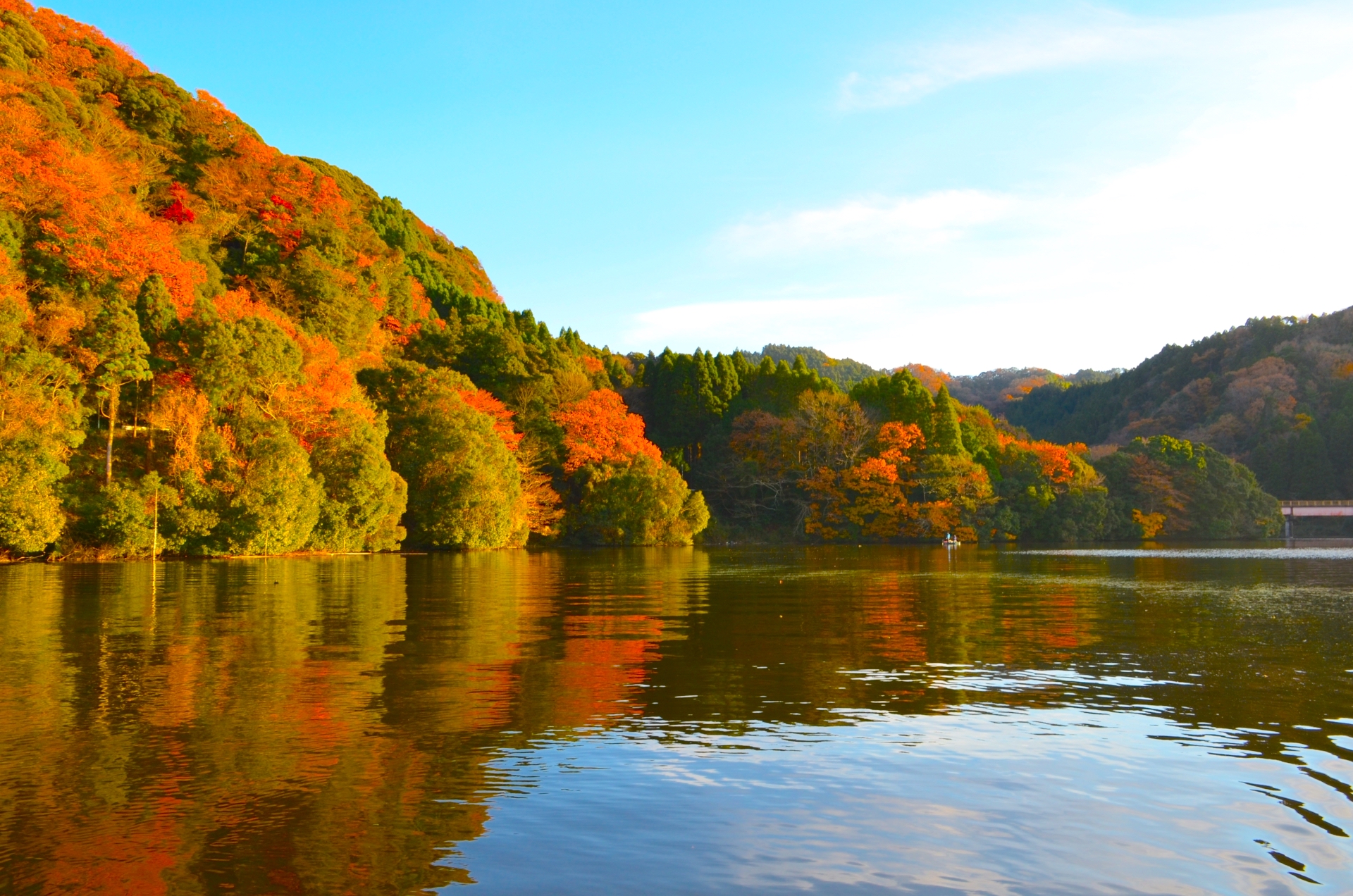 亀山湖の紅葉