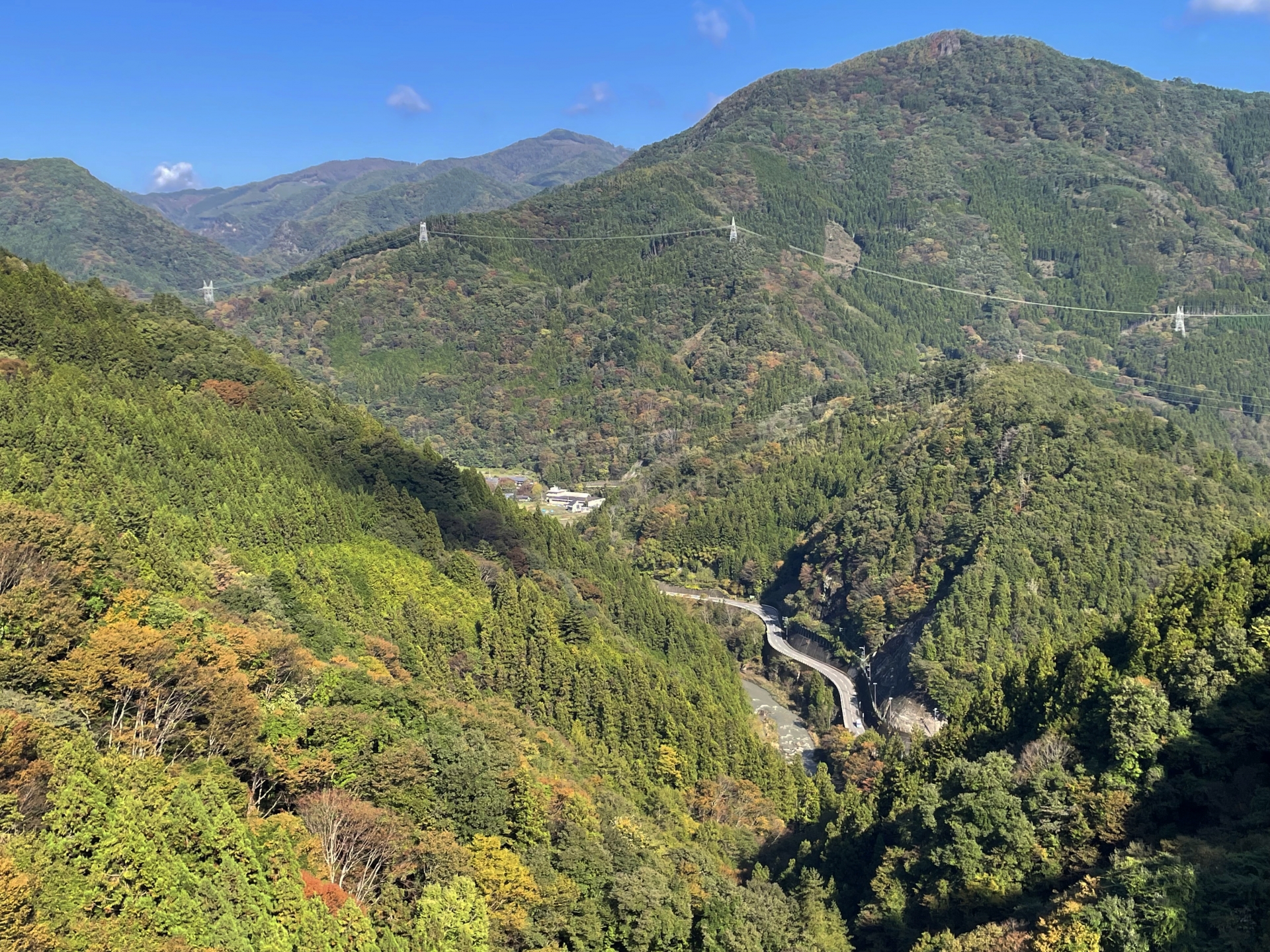 上野村