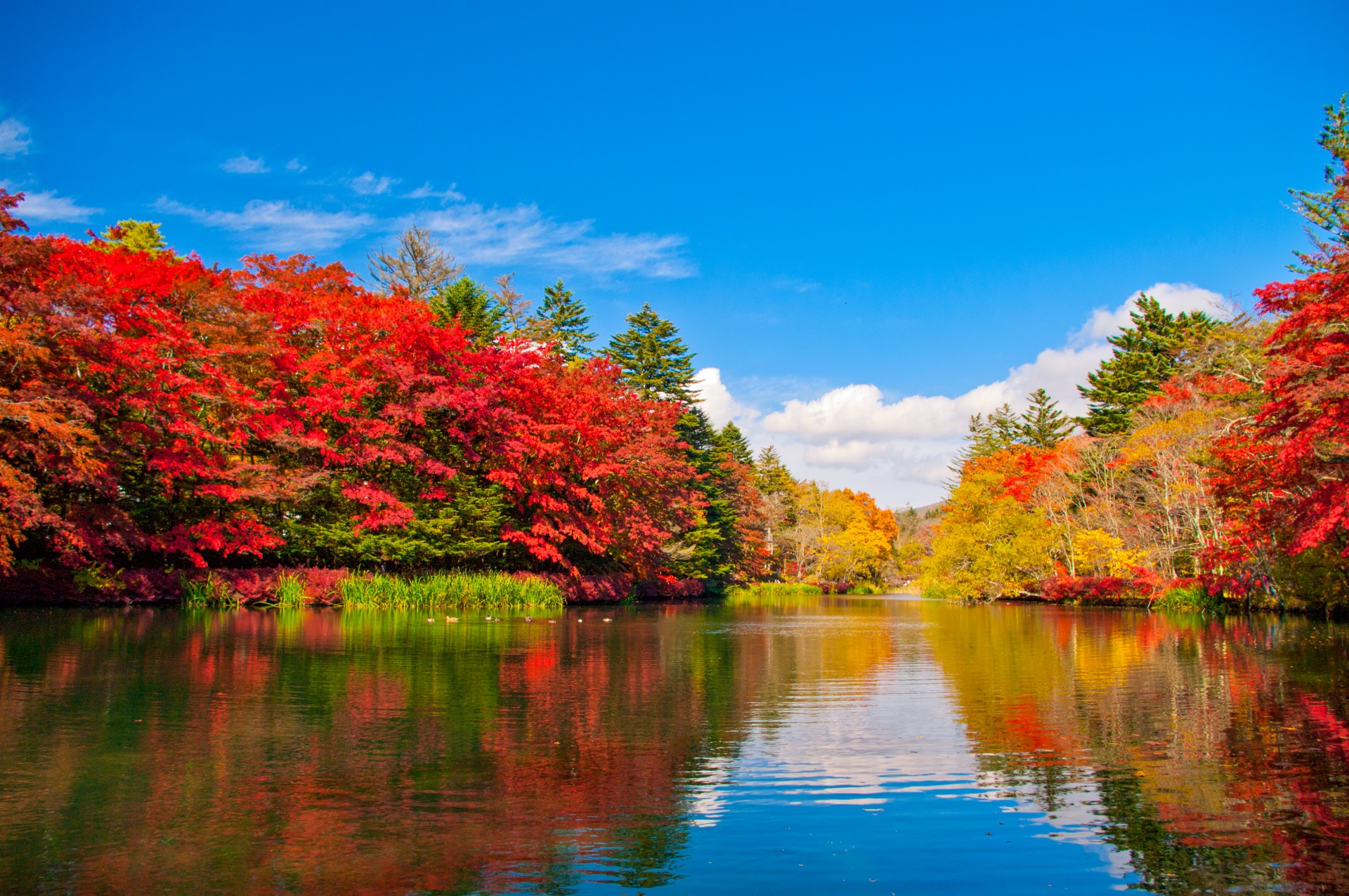 軽井沢紅葉まつり