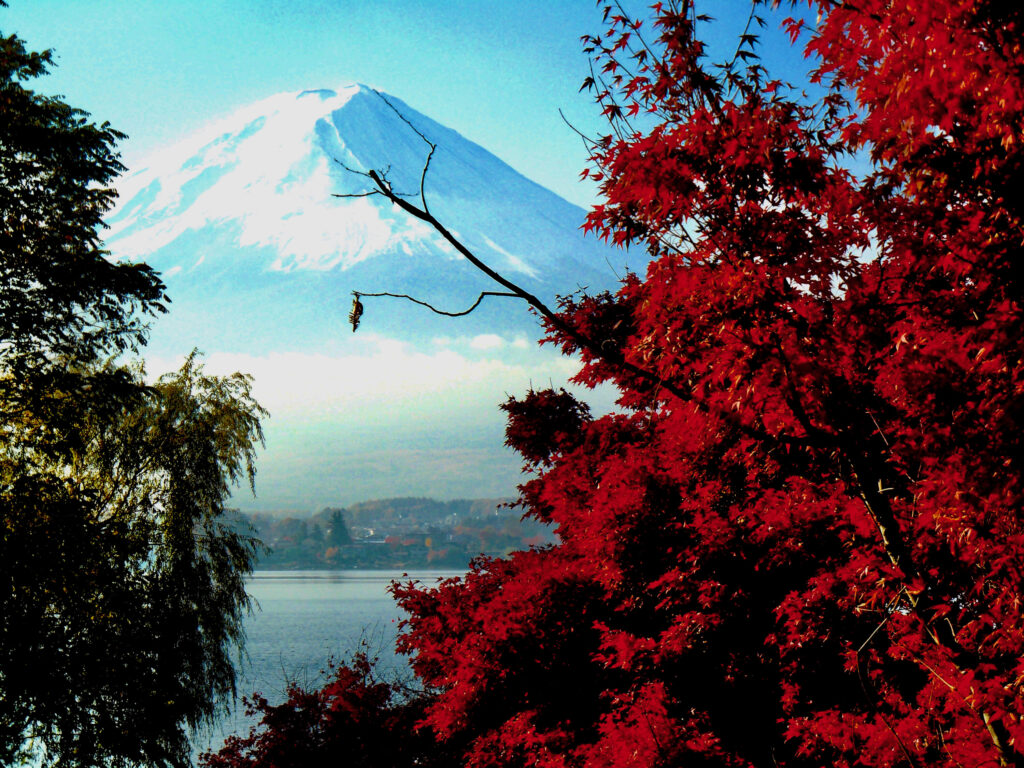 富士河口湖紅葉まつり