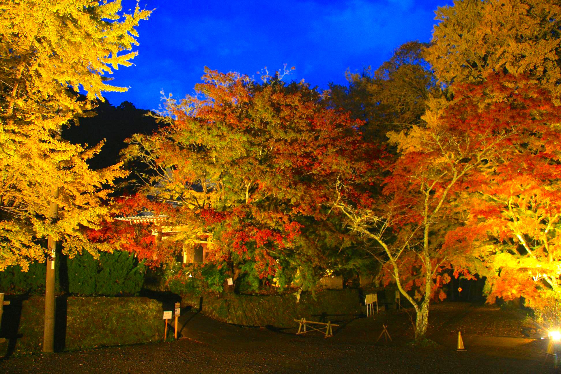 小松寺・紅葉