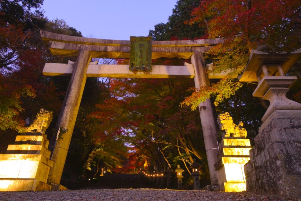 胡宮神社・大瀧神社『神あかり』（紅葉ライトアップ）