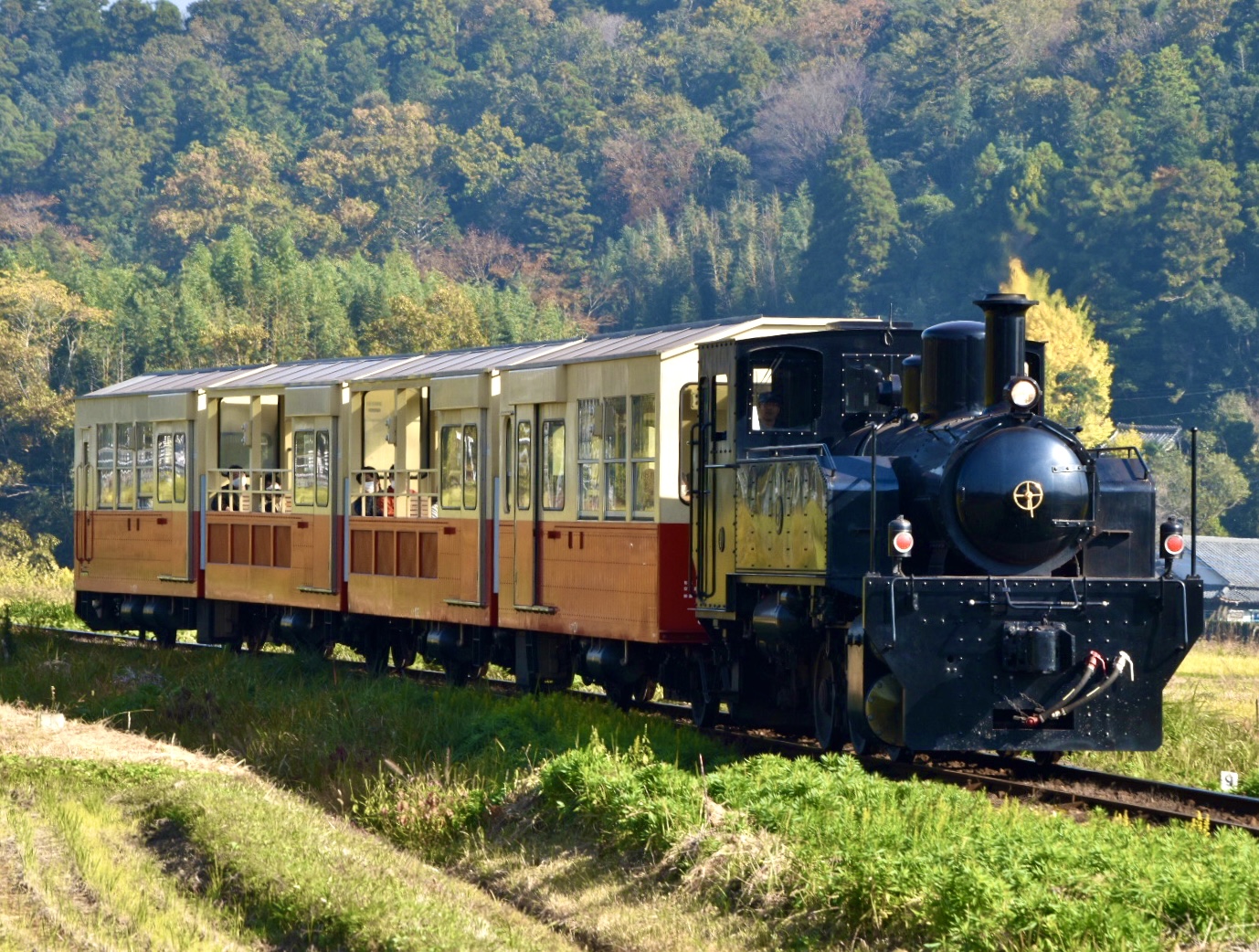 里山トロッコ列車