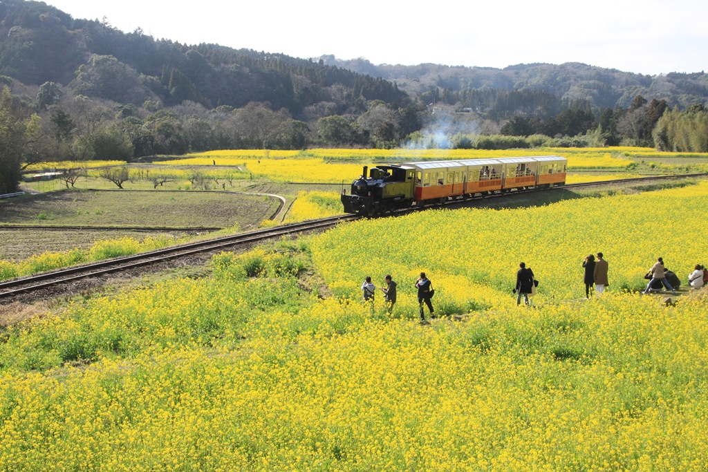 小湊鐵道里山トロッコ