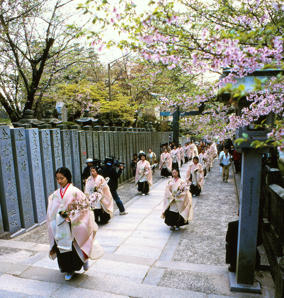 金刀比羅宮『桜花祭』