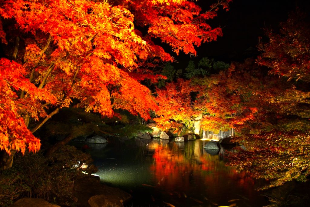 好古園『紅葉会』