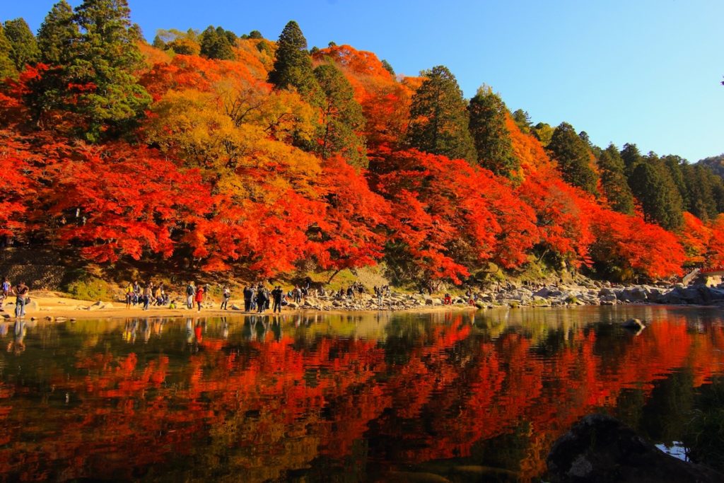 香嵐渓もみじまつり