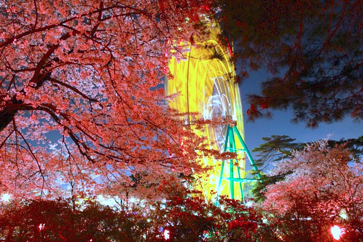 華蔵寺公園花まつり