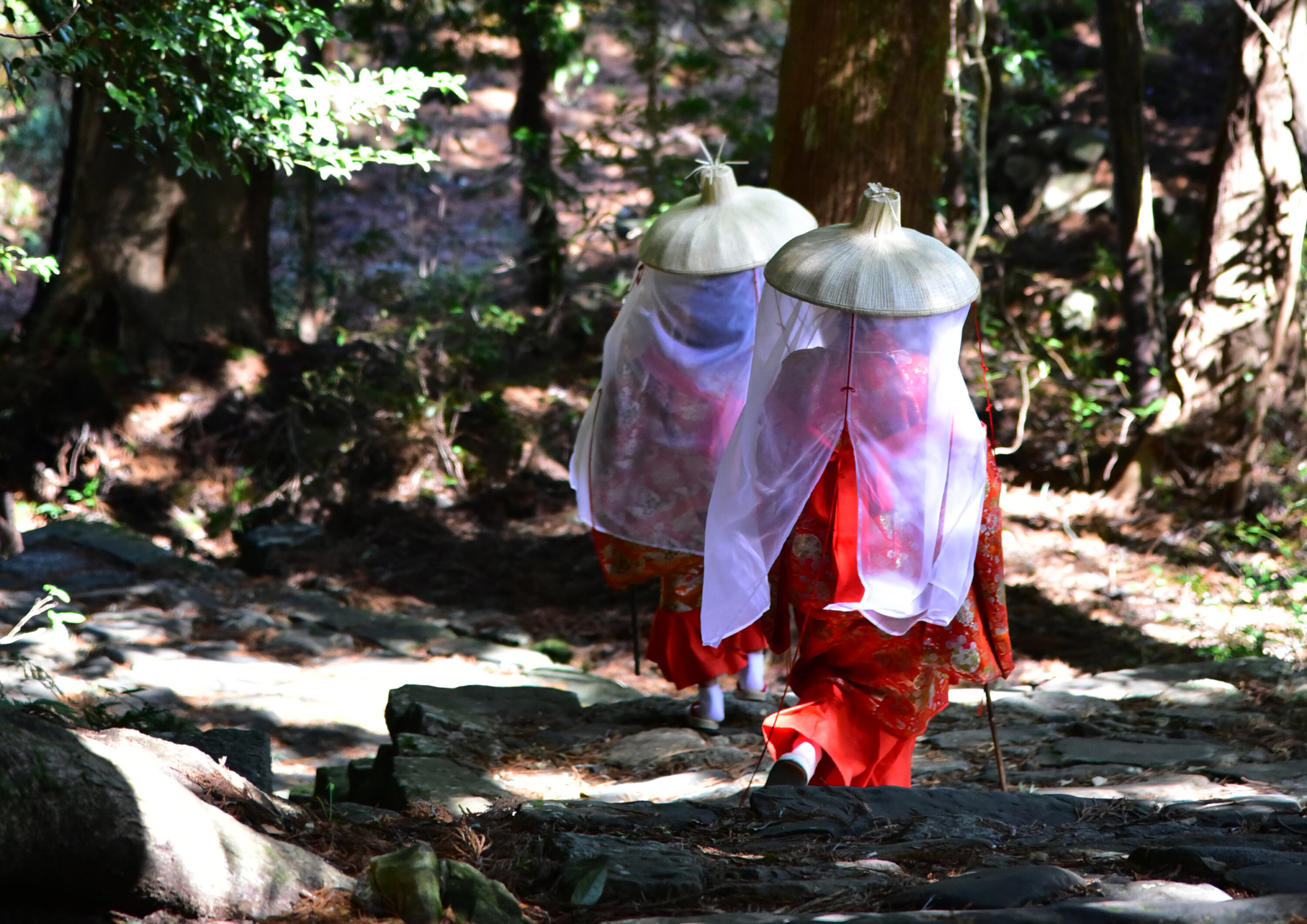 熊野古道・大門坂