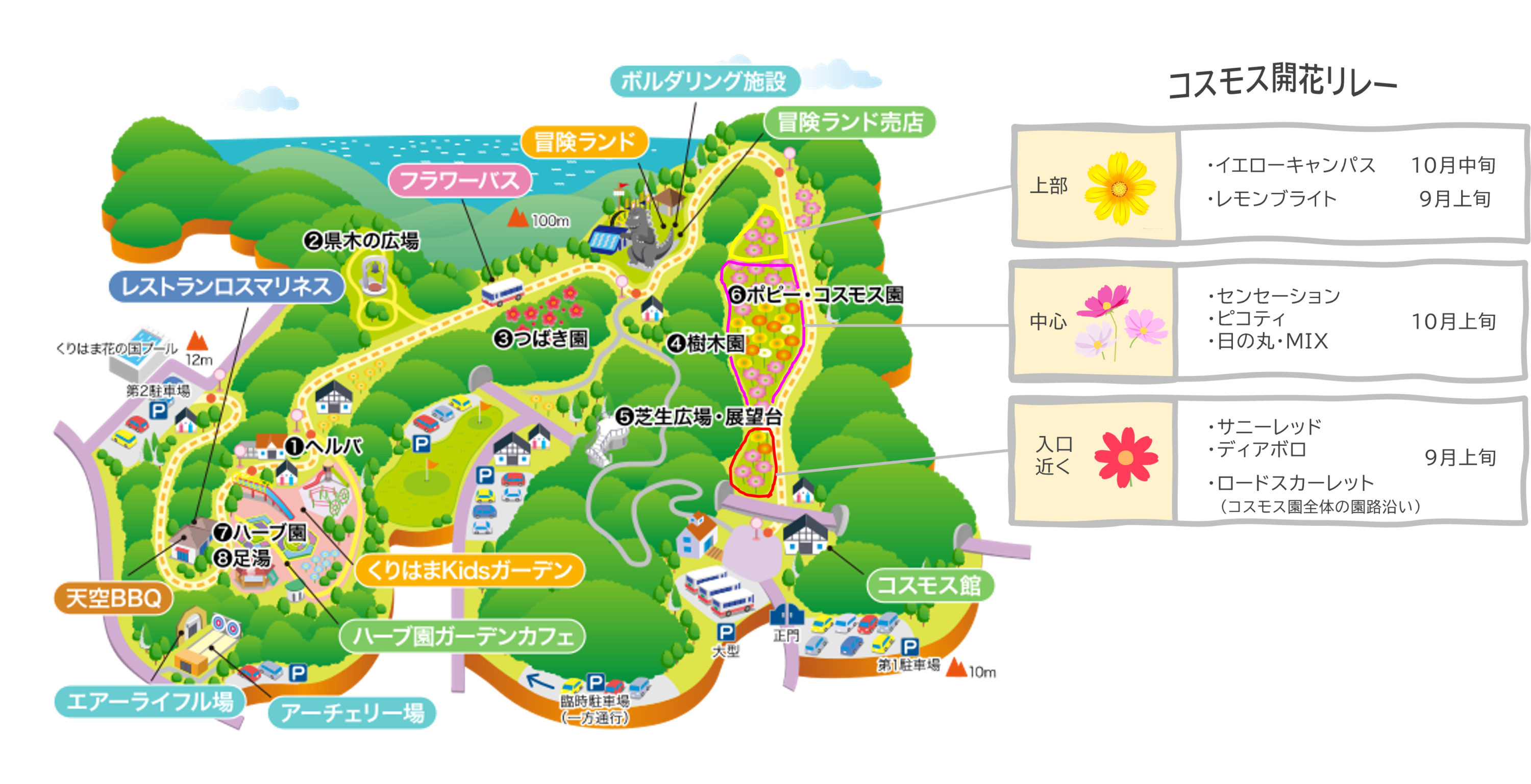 くりはま花の国コスモスまつり