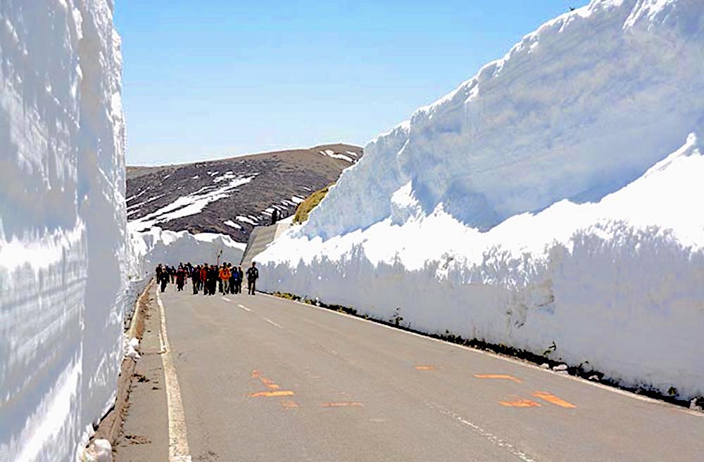 志賀草津高原ルート 雪の回廊ウォーキング