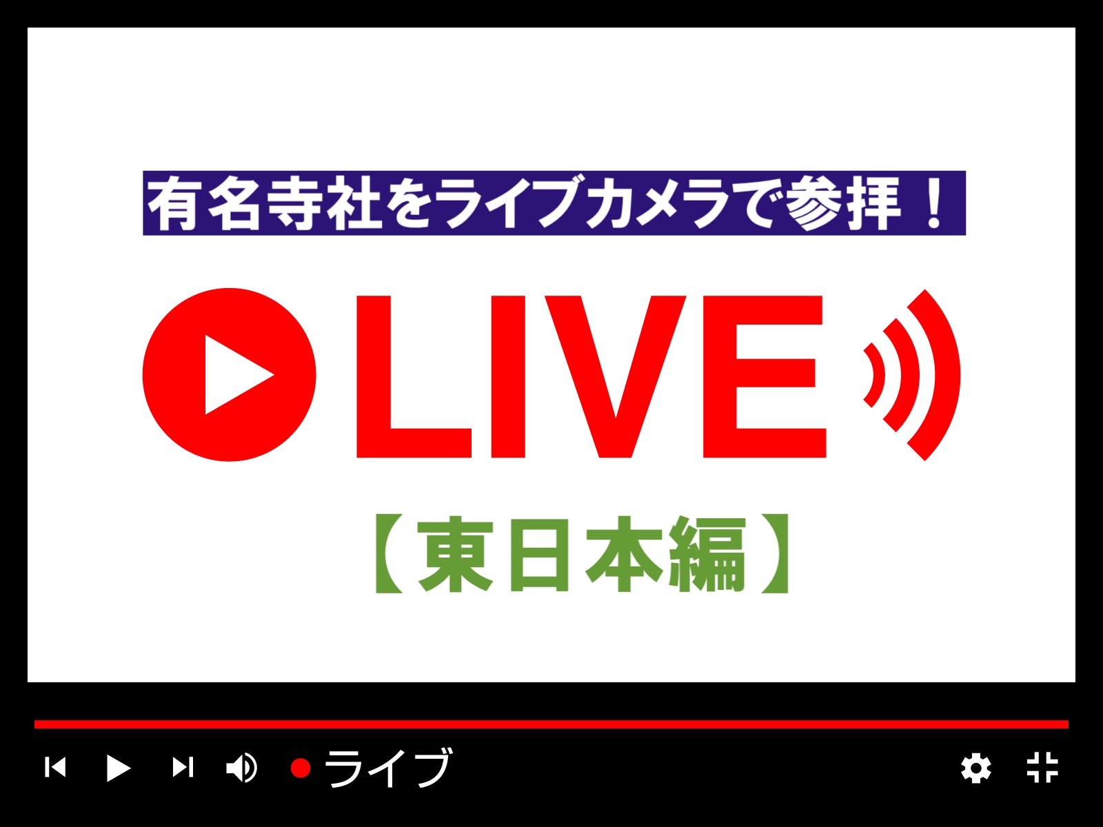 ライブカメラ