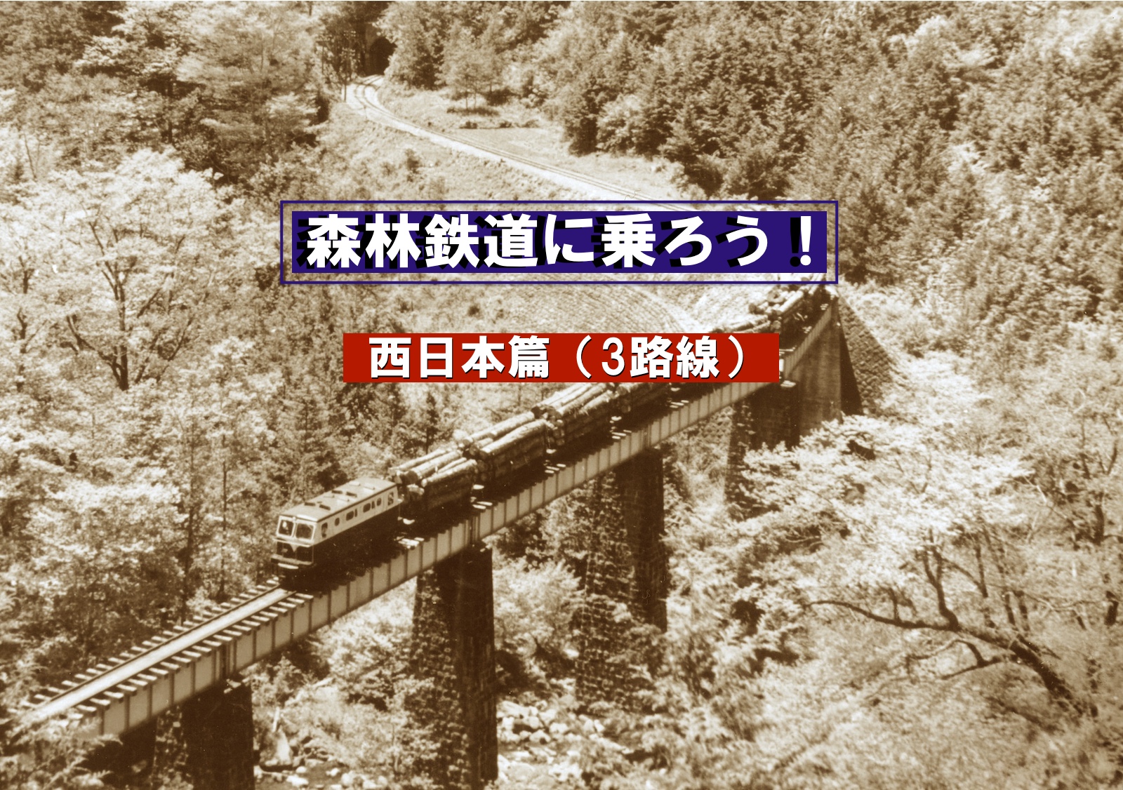 森林鉄道