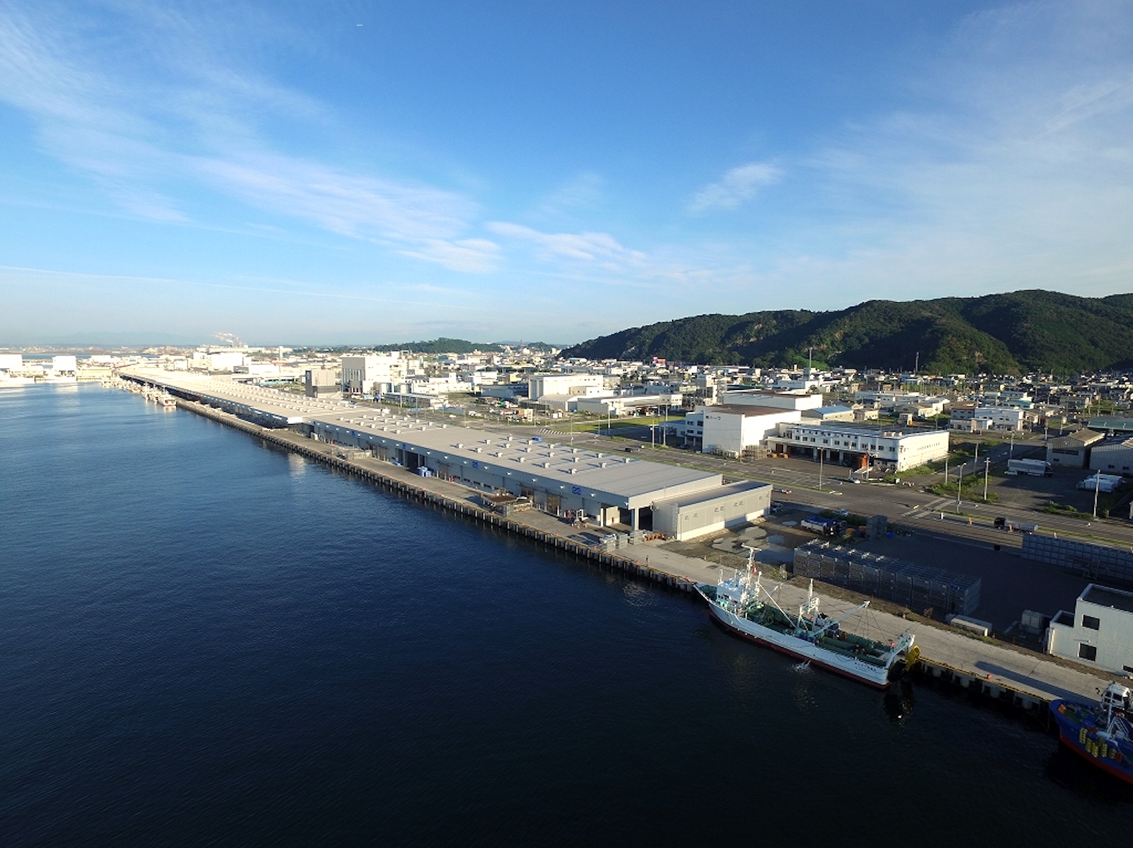 石巻魚市場