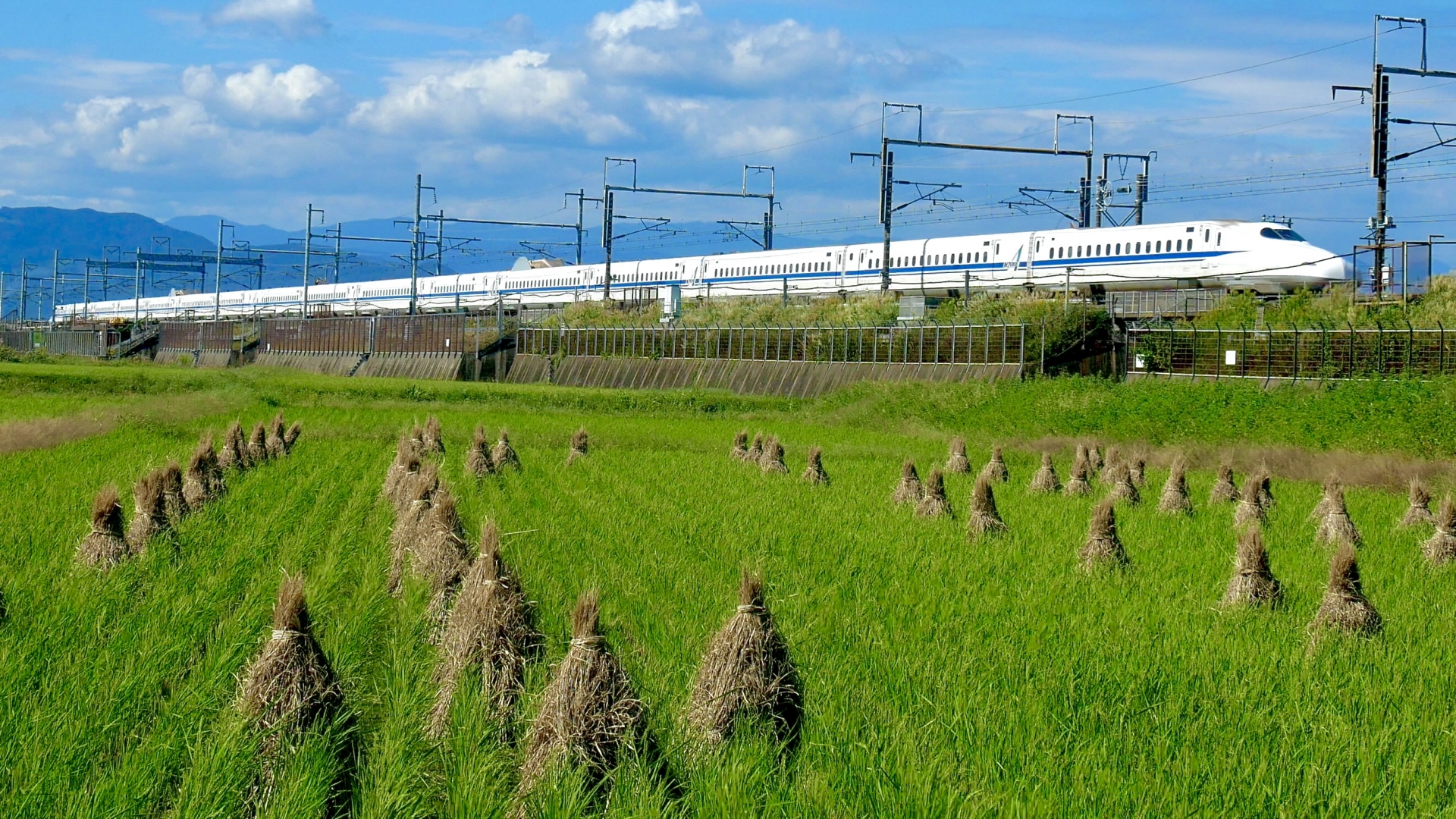 日本最長の列車