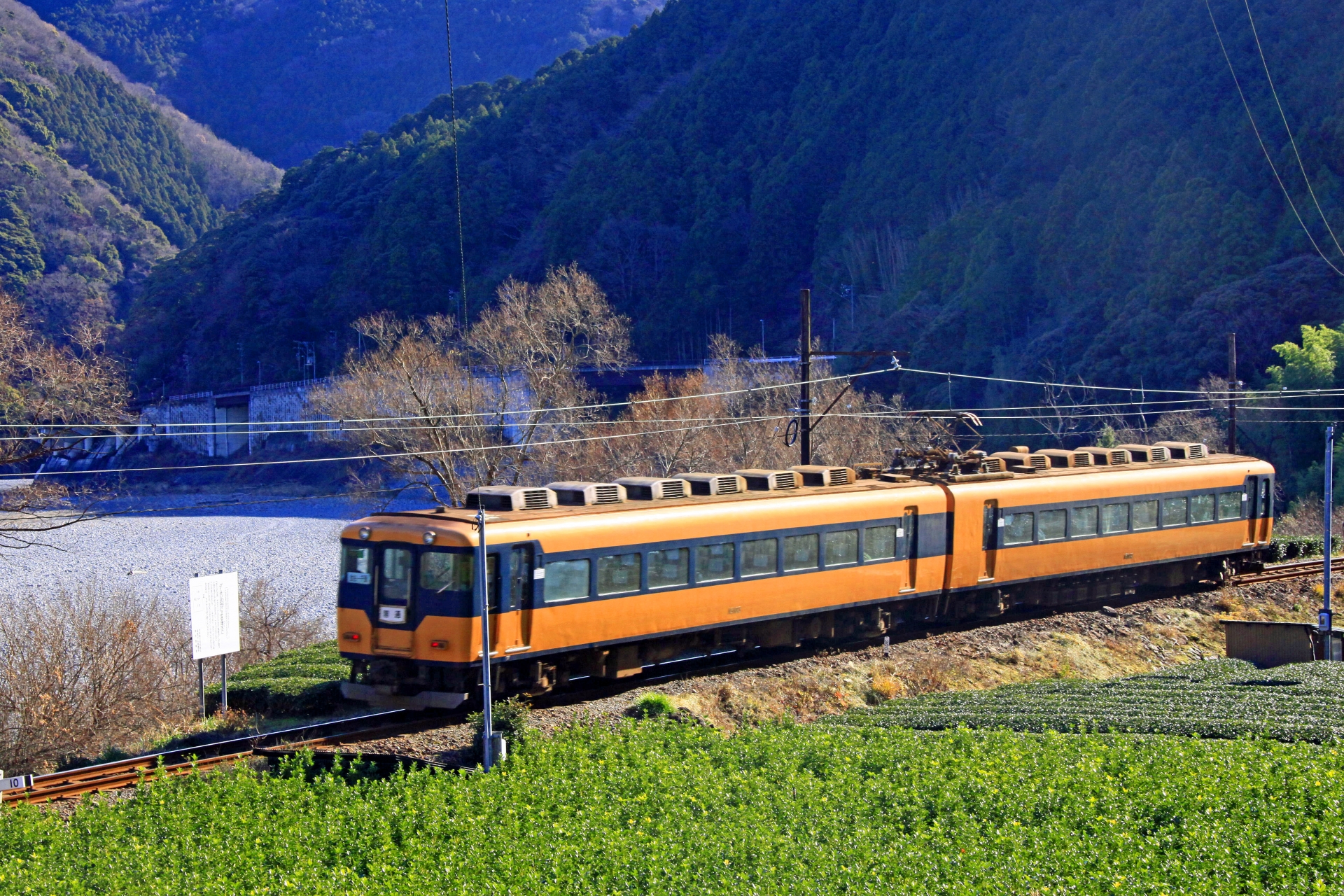 大井川鐡道16000系