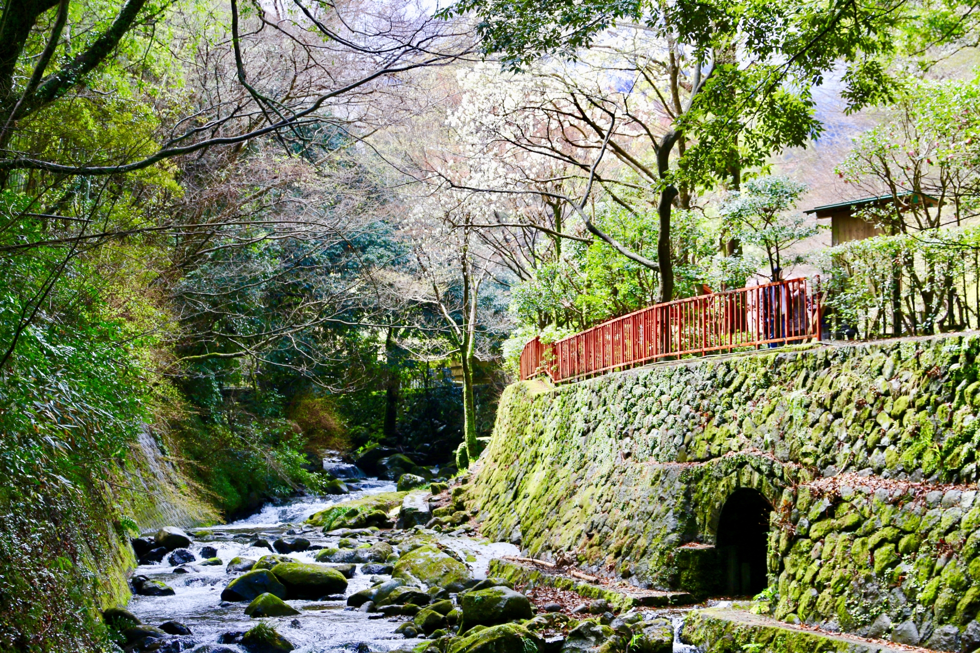 湯河原温泉