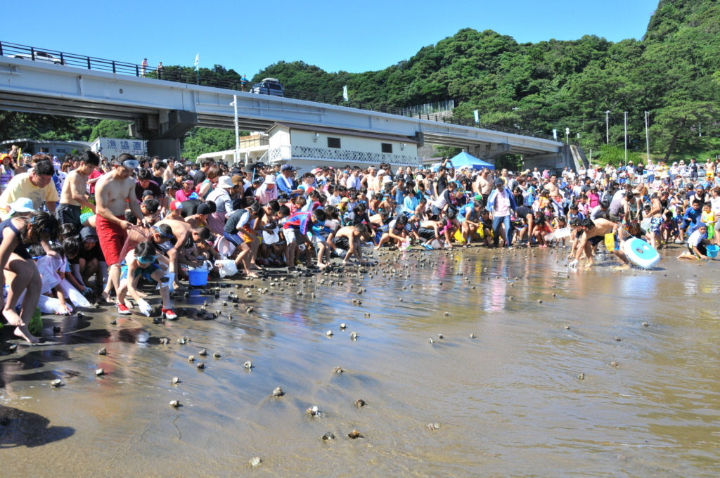 雲見温泉サザエ狩り