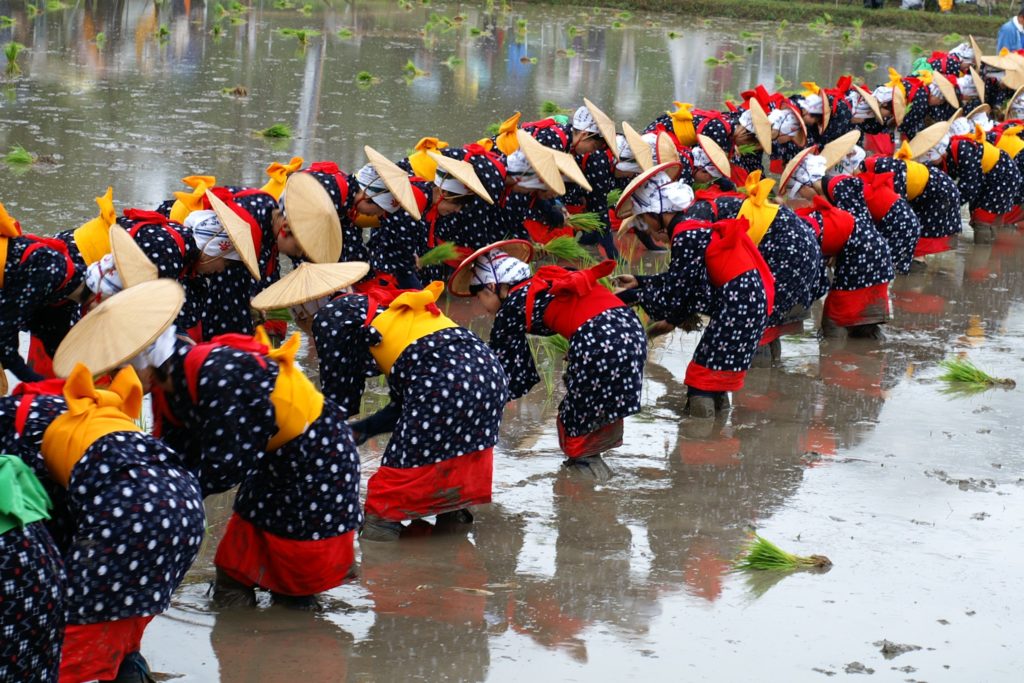 御田祭｜美郷町