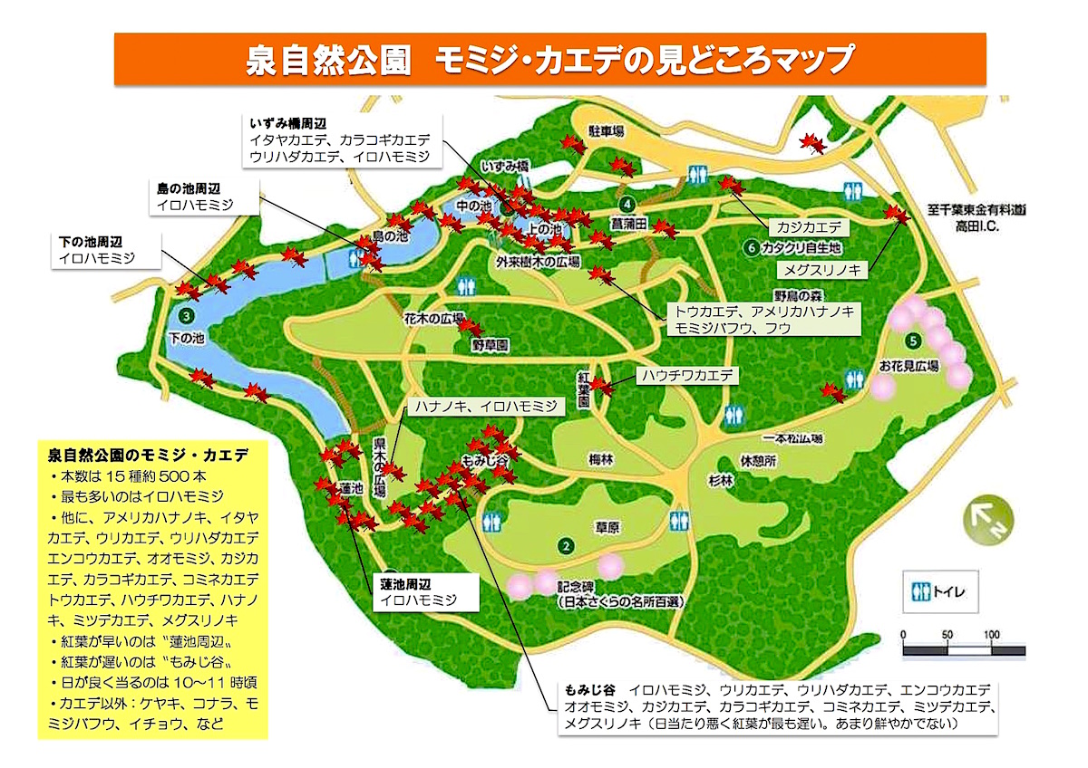 資料：都市局公園緑地部若葉公園緑地事務所