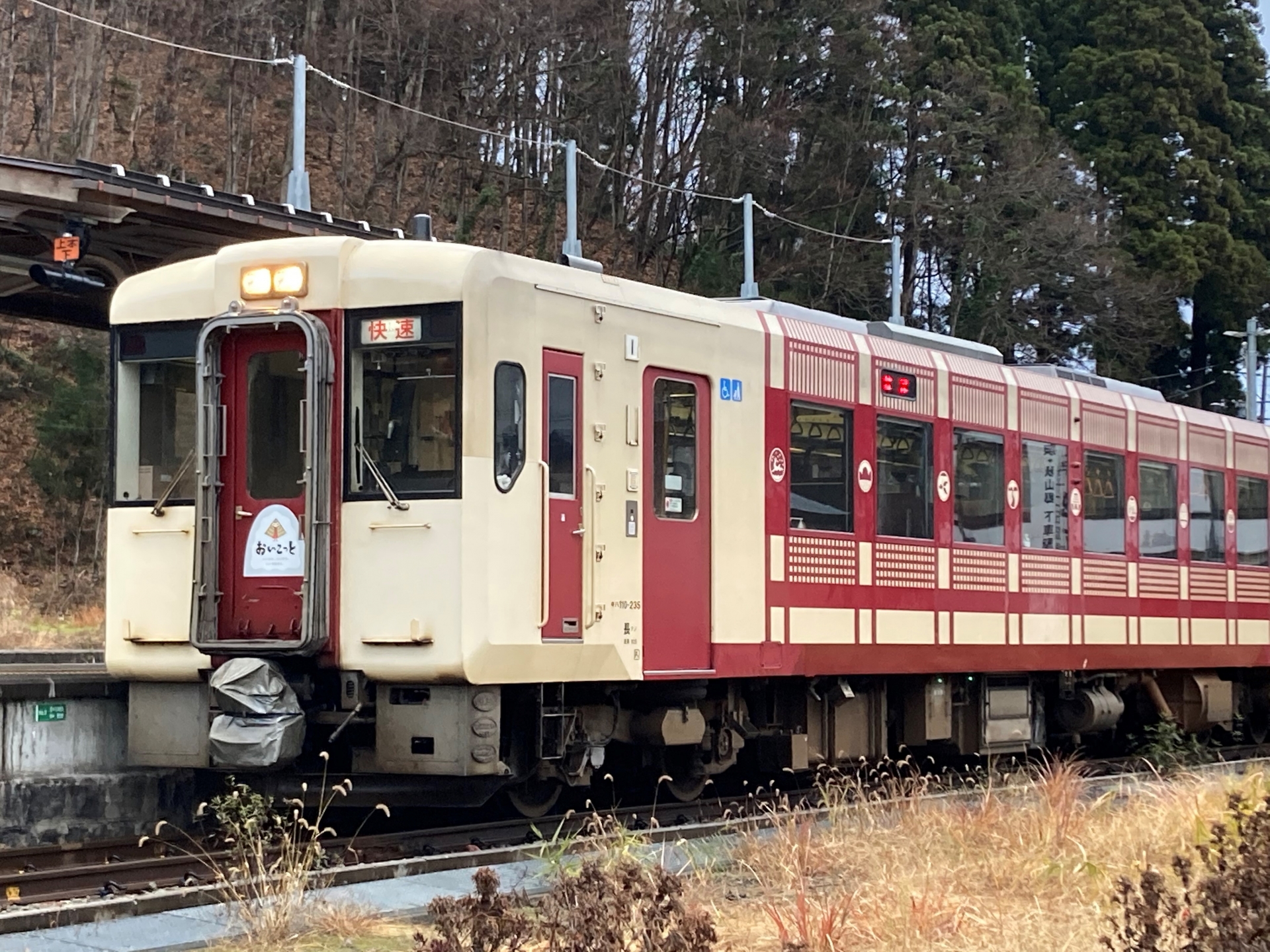 臨時快速「おいこっと」