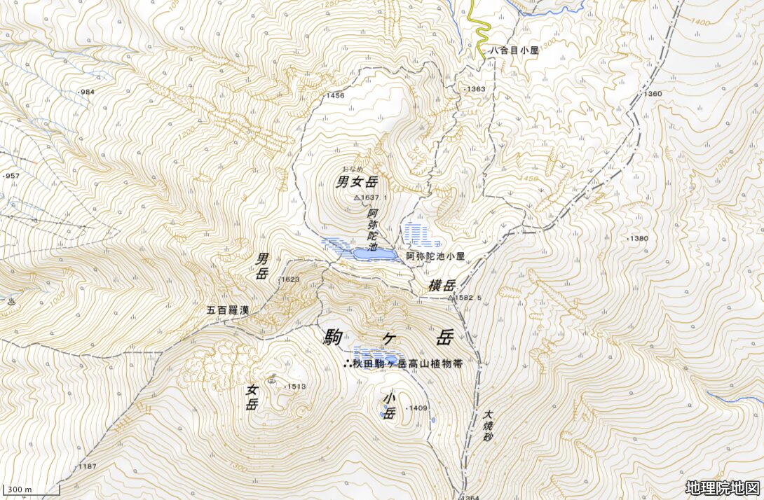 秋田駒ヶ岳