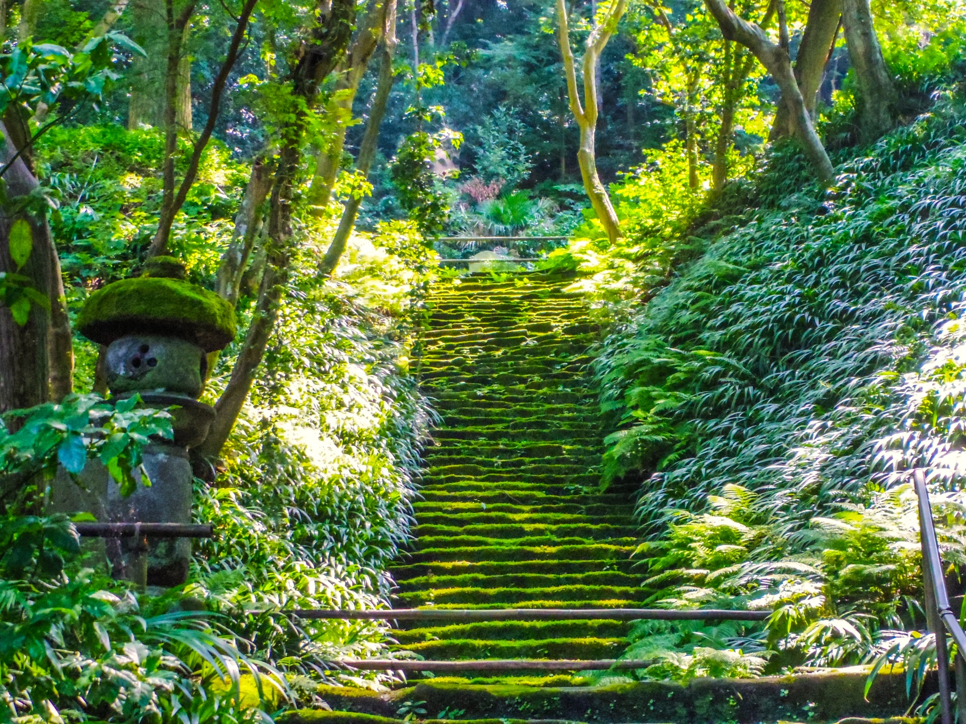妙法寺