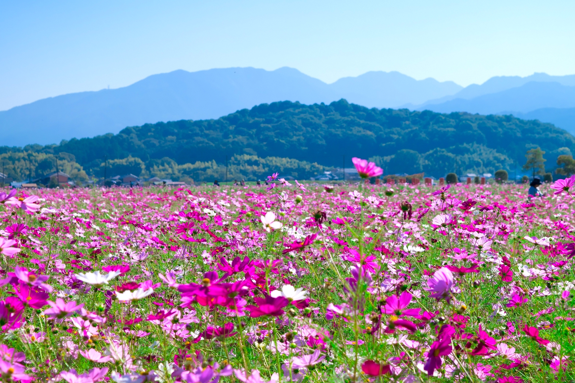 天香久山