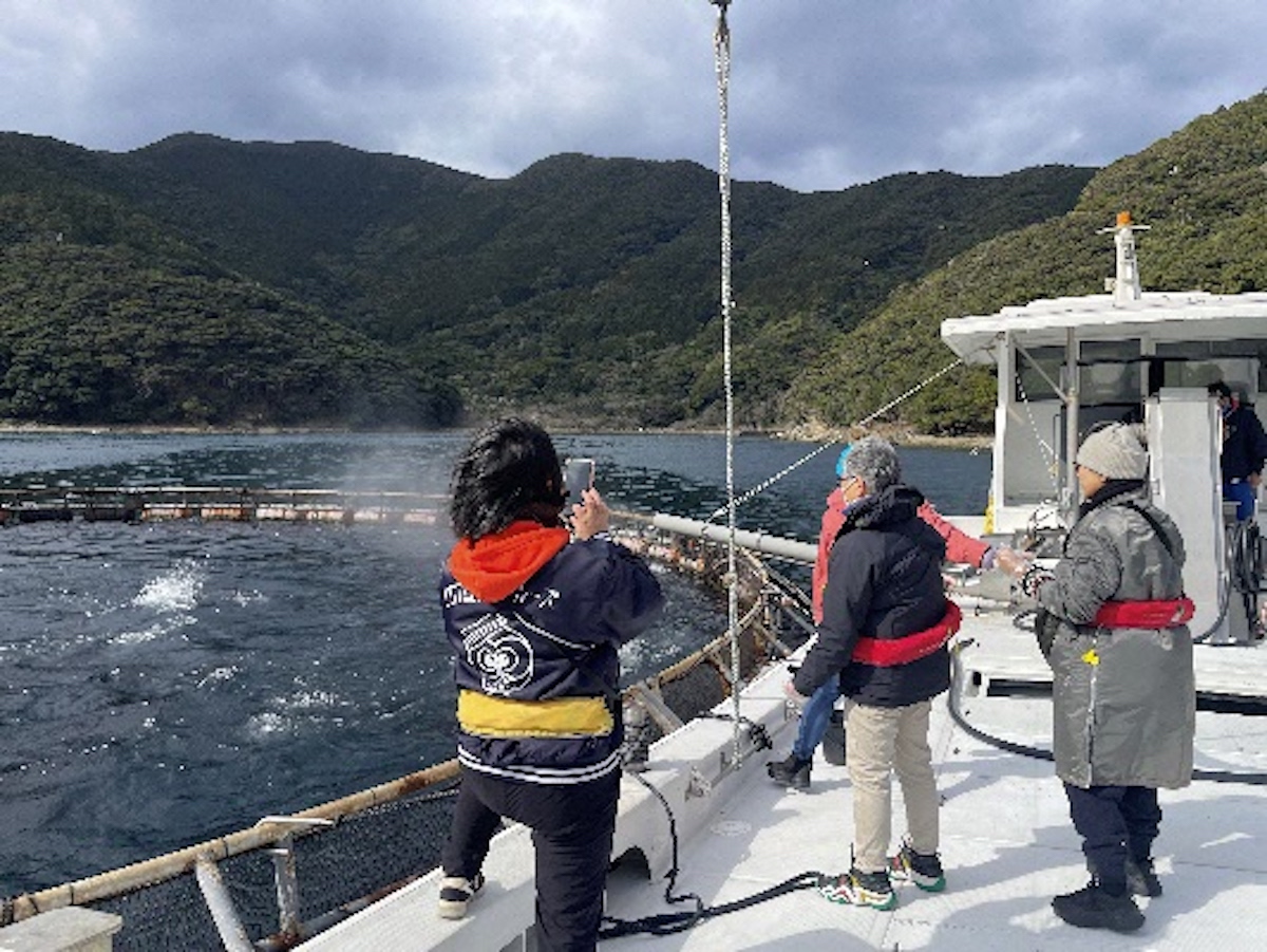 クロマグロ餌やり見学クルーズ